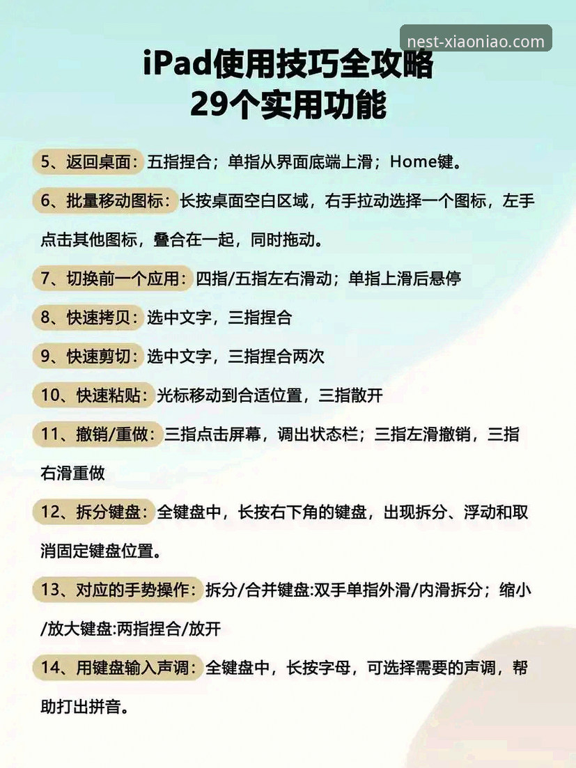 小鸟app怎么用攻略 小鸟App使用攻略实用指南:从下载到高阶功能的完整操作手册