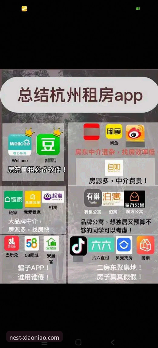 资深用户实测：小鸟专属空间iOS版实用心得与避坑指南